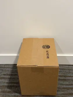 Pokemon TCG Unova Victini Illustration Collection Sealed Case Of 6 SEALED - Image 3