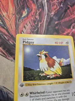Pidgey - 57/102 - Pokemon Base Set - 1st Edition WOTC - Shadowless - MP - Image 3