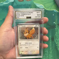 Pokemon TCG Sv: Scarlet & Violet Promo Eevee Holo #043 2026 AGS 9.5 - Image 1
