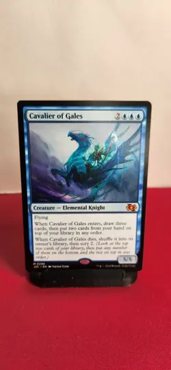 Cavalier of Gales Foundations Jumpstart Regular - Image 1