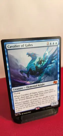 Cavalier of Gales Foundations Jumpstart Regular - Image 2