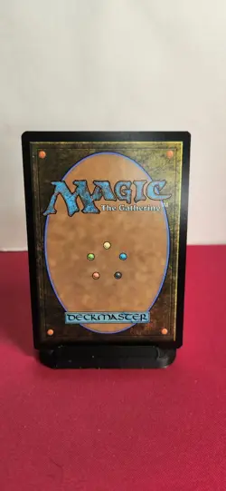 Cavalier of Gales Foundations Jumpstart Regular - Image 3