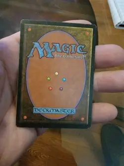 Mtg Force of Will Alliances Magic The Gathering - Image 2