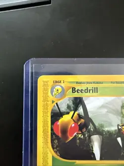 Pokemon Skyridge Beedrill 5/144 Non-Holo Rare NM Near Mint - Image 2