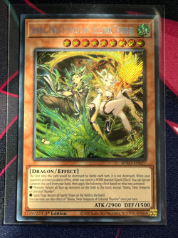 Shina, Twin Tempests of Celestial Thunder;YuGiOh-Secret Rare-Burst Protocol - Image 1