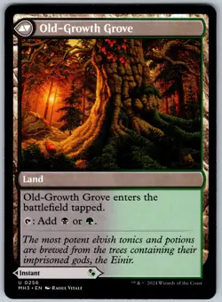 Revitalizing Repast U Modern Horizons 3 256 NM - Image 2