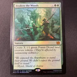 Magic The Gathering Awaken The Woods Sorcery 170/287 - Image 1