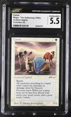MTG Magic: The Gathering English Camel 1993 Arabian Nights CGC 5.5 - Image 1