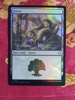 22 FOIL Lands Mana Cards Lorwyn Eclipsed Magic The Gathering MTG see pictures - Image 1