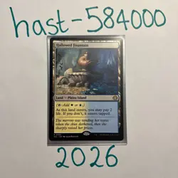Hallowed Fountain 0265 - ECL - Lorwyn Eclipsed - MTG - NM - Regular - Image 1