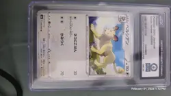World Record Genesis Pokemon Slabs Lot - Image 3