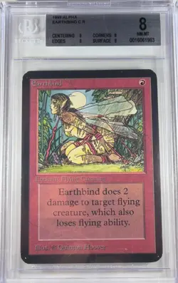 MTG Earthbind Alpha BGS 8 - 9,8,8,8 - Image 1