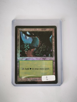 1 X FOREST LAND ARENA MTG CARD 1993-2001 FOIL MINT CONDITION #2 - Image 1