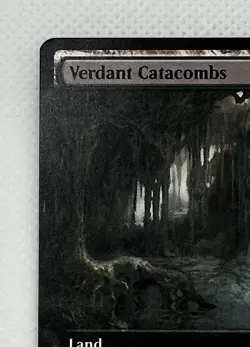 MTG - Verdant Catacombs (Extended Art) #479 (NM) Modern Horizons 2 - MH2 - Image 3
