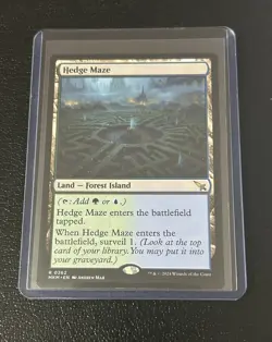 Magic The Gathering 6 Card Rare Land Foil/Non-Foil Lot all M/NM - Image 5