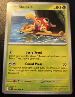 Shuckle 005/197 Common Scarlet & Violet: Obsidian Flames Pokemon TCG - Image 1