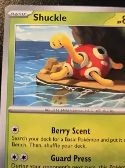 Shuckle 005/197 Common Scarlet & Violet: Obsidian Flames Pokemon TCG - Image 2