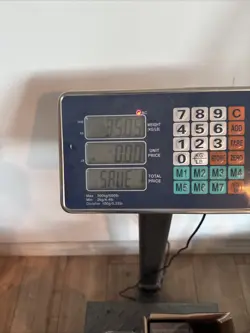 8000++ MTG Magic the Gathering Cards Common / Uncommon And Foils Bulk Unsorted - Image 2