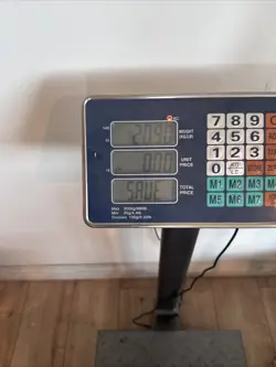 Bulk Pokemon Cards Lot of 3500++ Majority English, Some JPN And CHN, Have Codes. - Image 2