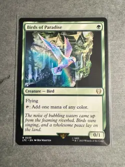 MTG English Birds of Paradise - NM - Normal - Image 1