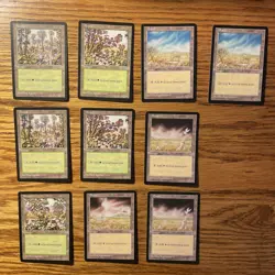 MTG: Vintage ‘95 Mirage Land / Mana 24 Card Lot - All Basic Land Types - Image 2
