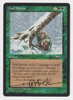 Signed Hail Storm LP Alliances Artist Jeff A. Menges 1996 WOTC MTG Magic Vintage - Image 1