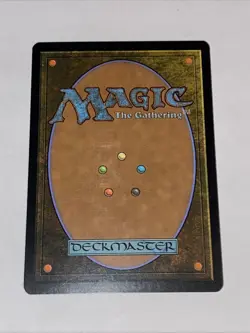 Arctic Flats 143 Coldsnap Regular MTG TCG CARD NM - Image 2