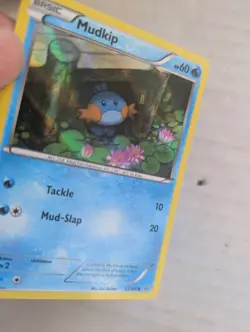 Early Release HOLO Mudkip 33/160 - 2014 Pokemon Primal Clash Common Card - NM - Image 2