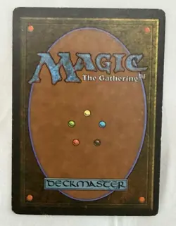 MTG Magic Adarkar Wastes Ice Age Land Card Regular Mike Raabe English - Image 2