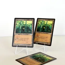 Wirewood Lodge (x3) #329 (Onslaught) Near Mint MTG Vintage Magic: the Gathering - Image 1