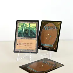 Wirewood Lodge (x3) #329 (Onslaught) Near Mint MTG Vintage Magic: the Gathering - Image 2
