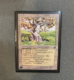 Magic the Gathering ~ MTG ~ Pendelhaven ~ LEGENDS ~ Near-Mint/NM Rare Not Played - Image 1