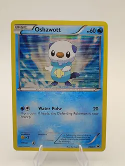 Oshawott BW03 Black & White Rare Holo Promo Pokemon Card - Image 1