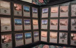 Magic The Gathering old 216 Collection vintage Lot lands - Image 3