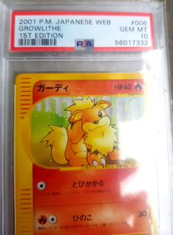 Pokemon ⭐PSA 10 ⭐ GROWLITHE WEB Serie 1st Edition 6/48 Japanese GEM MINT - Image 5