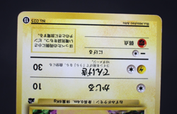 Pokemon Card Japanese Intro Pack 13＆40 Pikachu No. 025 - Image 4