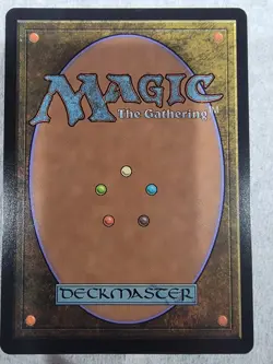 BRAND NEW Magic the Gathering: Hallowed Fountain Lorwyn Eclipsed Regular - Image 2