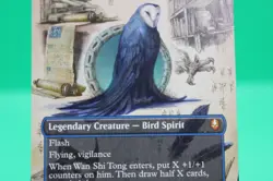 MTG Avatar BORDERLESS FIELD NOTES M Wan Shi Tong, Librarian #0320 Non-Foil - Image 3
