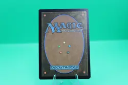 MTG Avatar BORDERLESS FIELD NOTES M Wan Shi Tong, Librarian #0320 Non-Foil - Image 5