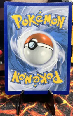 Pokemon - Eevee - SWSH118 - Sword and Shield - Promo HOLO - Image 2