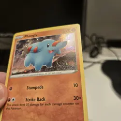 Phanpy Pokemon SWSH117 Black Star Promo With HD Swirl - Image 2