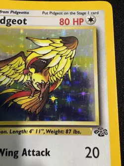 Pokemon Pidgeot Jungle 8/64 1st Edition Holo 1999 WOTC TCG Card - LP - Image 3