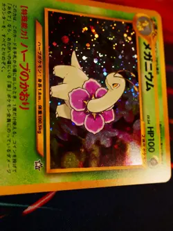LP /MP JAPANESE Pokemon MEGANIUM Card PREMIUM FILE 1 Set#154 Neo Genesis HOLO#13 - Image 3