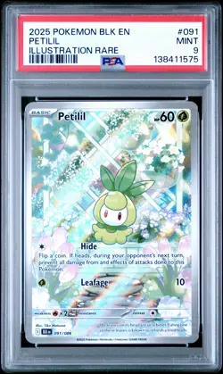 2025 POKEMON BLK EN-BLACK BOLT ILLUSTRATION RARE #091 PETILIL PSA 9 - Image 1