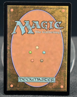 🎲 Delina, Wild Mage #138 | Foil | AFR | NM | MTG Legendary Red EDH Elf 🎲 - Image 2