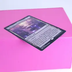 MTG Kamigawa Neon Dynasty Takenuma, Abandoned Mire Regular LP - Image 3