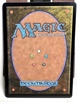 MTG Foundations Nine Lives Familiar 0066 Rare - Image 2