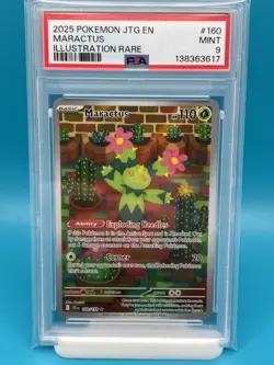 PSA 9 - 2025 POKEMON JTG EN-JOURNEY TOGETHER 160 MARACTUS ILLUSTRATION RARE - Image 1