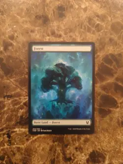 Forest (254) Theros Beyond Death Regular NM MTG - Image 1