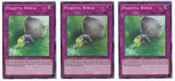 Peaceful Burial - CHIM-EN077 - Super Rare - 1st Edition x3 - Yugioh! - Image 1